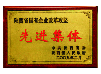 2009年獲得“陜西省國有企業(yè)改革攻堅(jiān)先進(jìn)集體”稱號(hào)