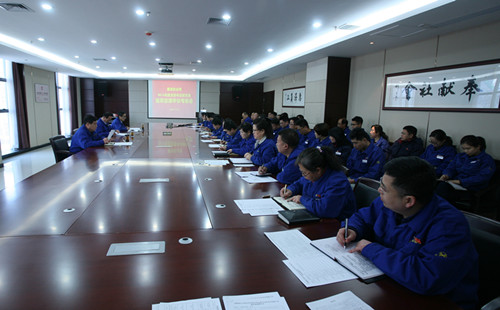 公司黨委開(kāi)展對(duì)基層單位黨支部書記述職述廉評(píng)議考核工作