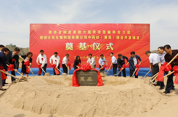 陜煤集團(tuán)榆林合力產(chǎn)業(yè)扶貧開發(fā)公司中藥材深加工項目落地